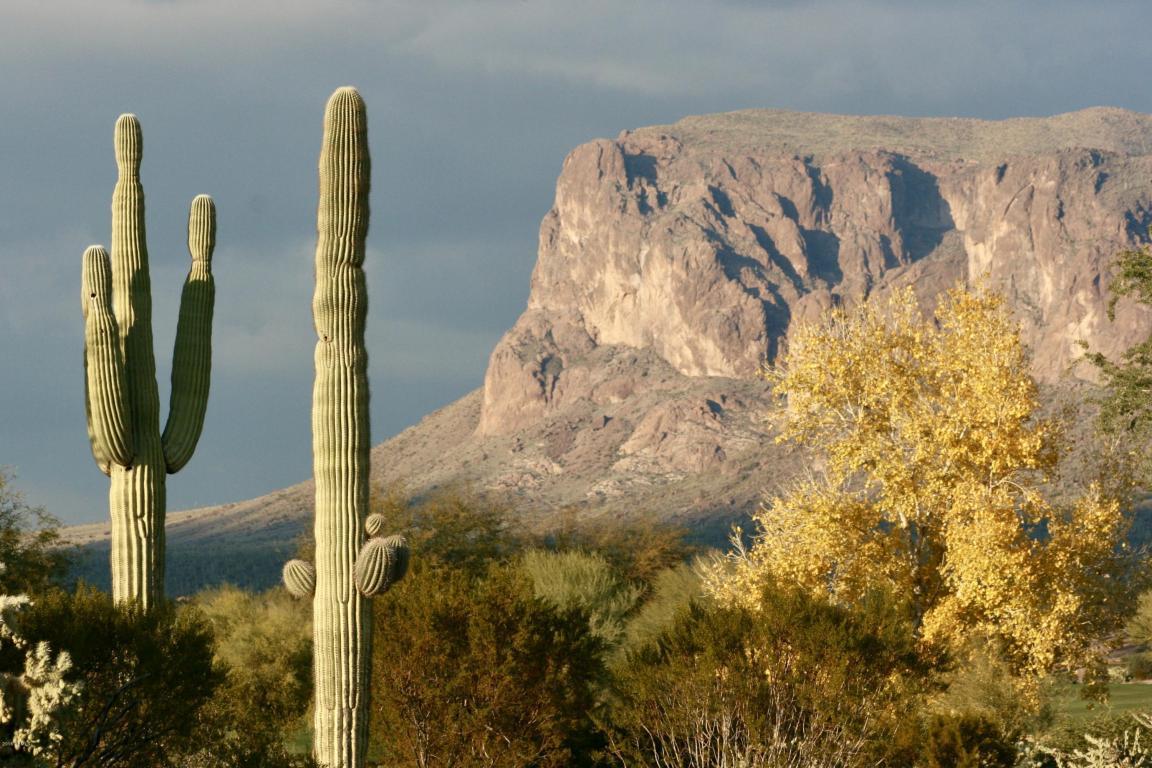Phoenix to Gold Canyon Shuttle AZ Door from PHX Airport Arizona